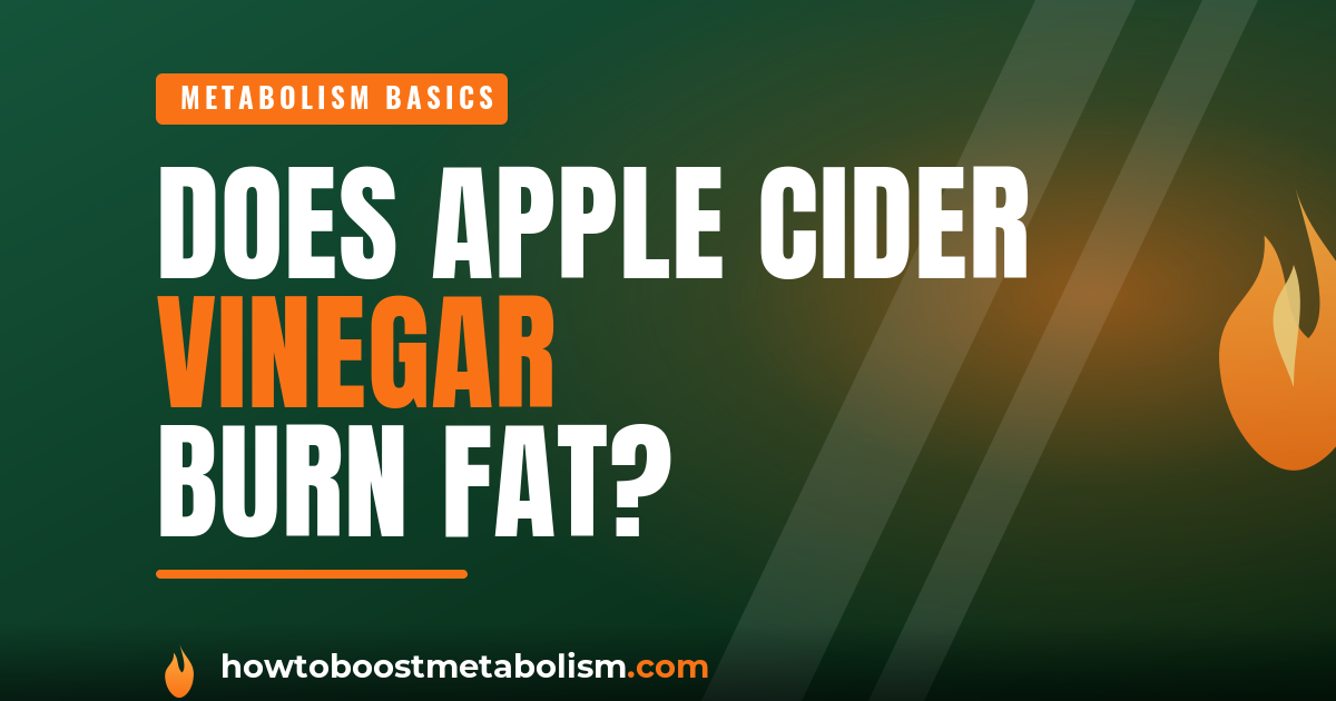 Cover graphic: does apple cider vinegar boost metabolism and burn fat