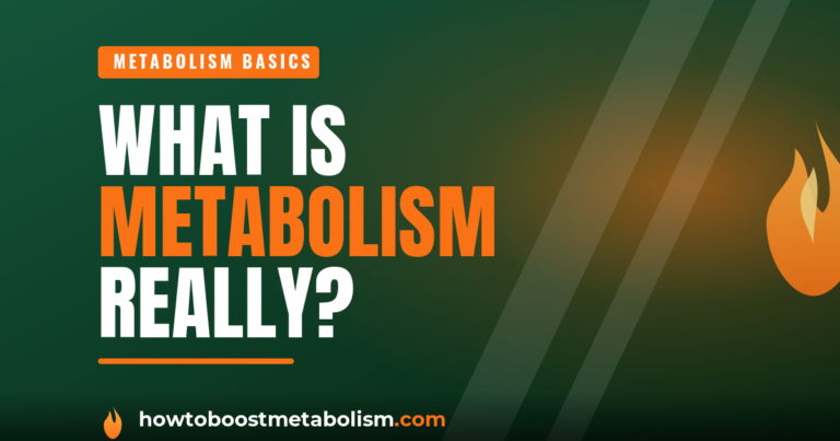 What is metabolism - simple diagram of how the body turns food into energy