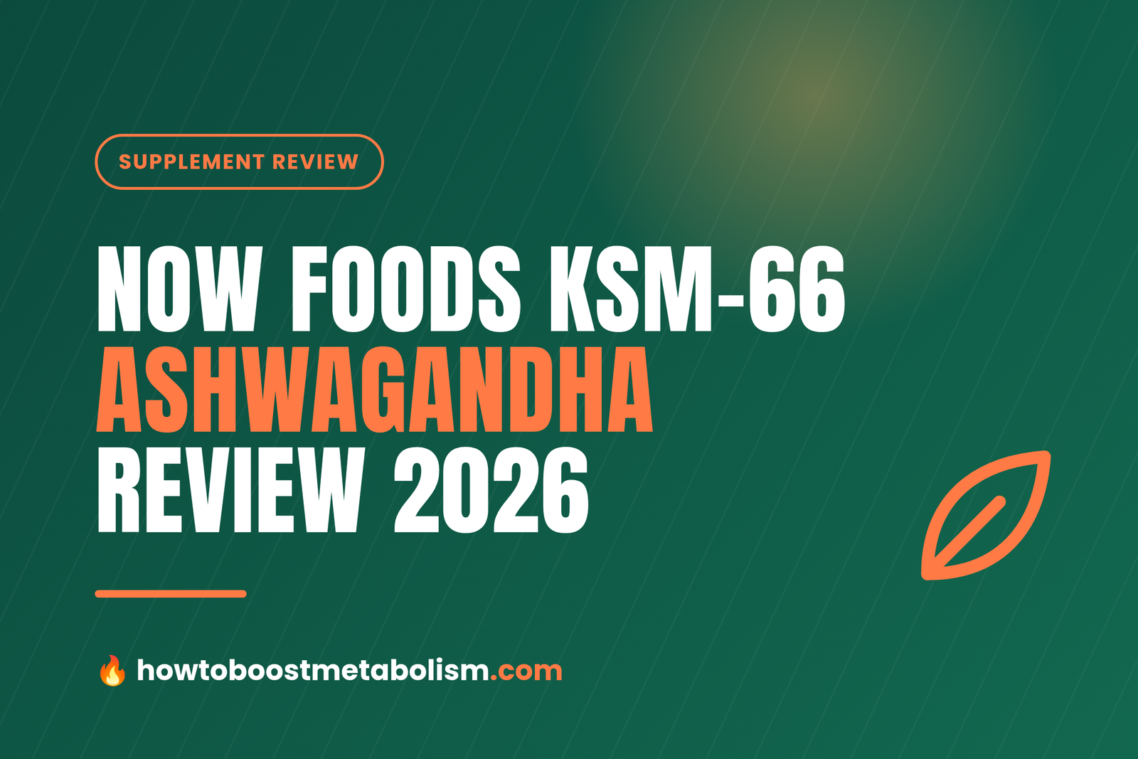 NOW Foods KSM-66 Ashwagandha 600 mg review 2026 cover