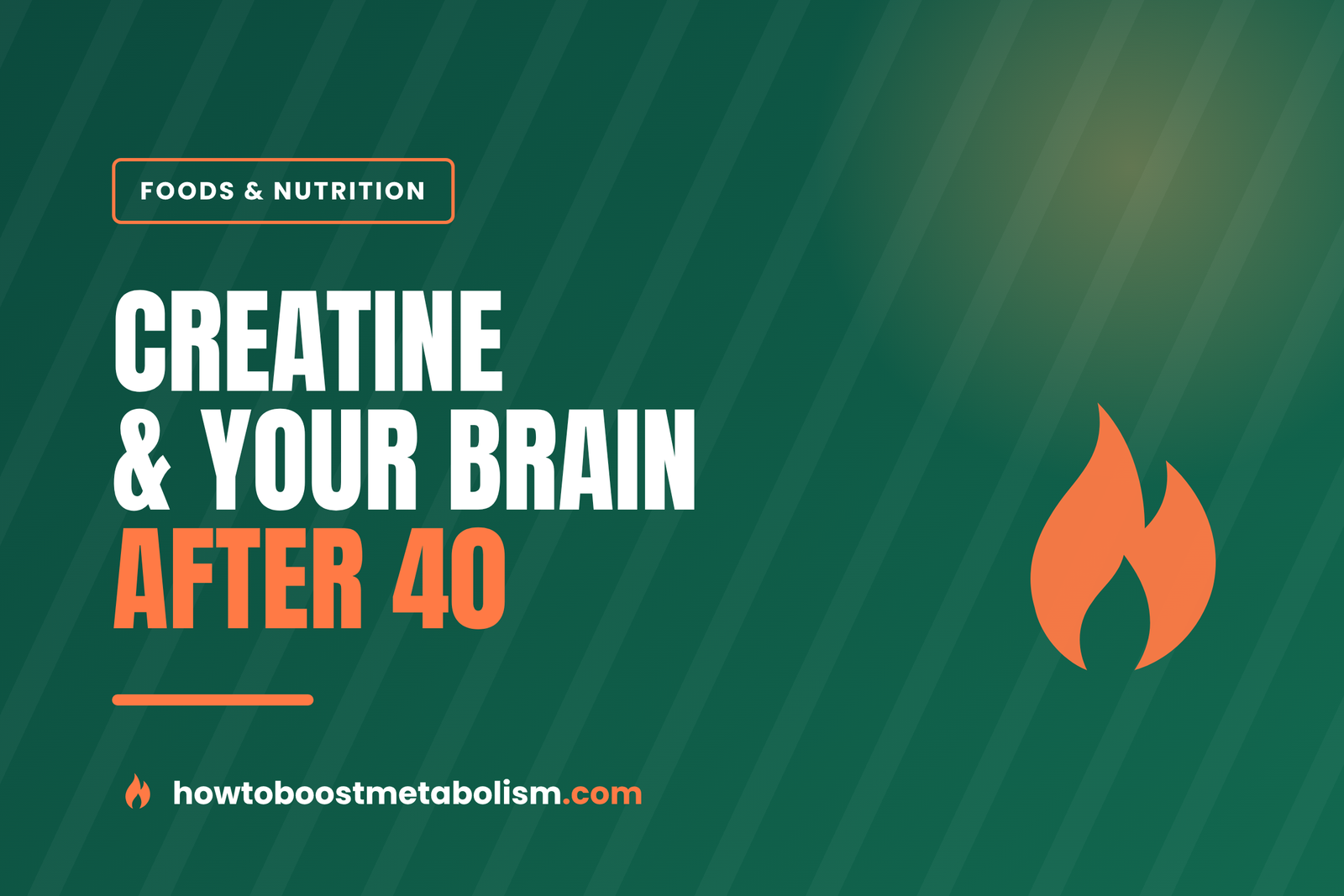 Does Creatine Help Your Brain After 40?