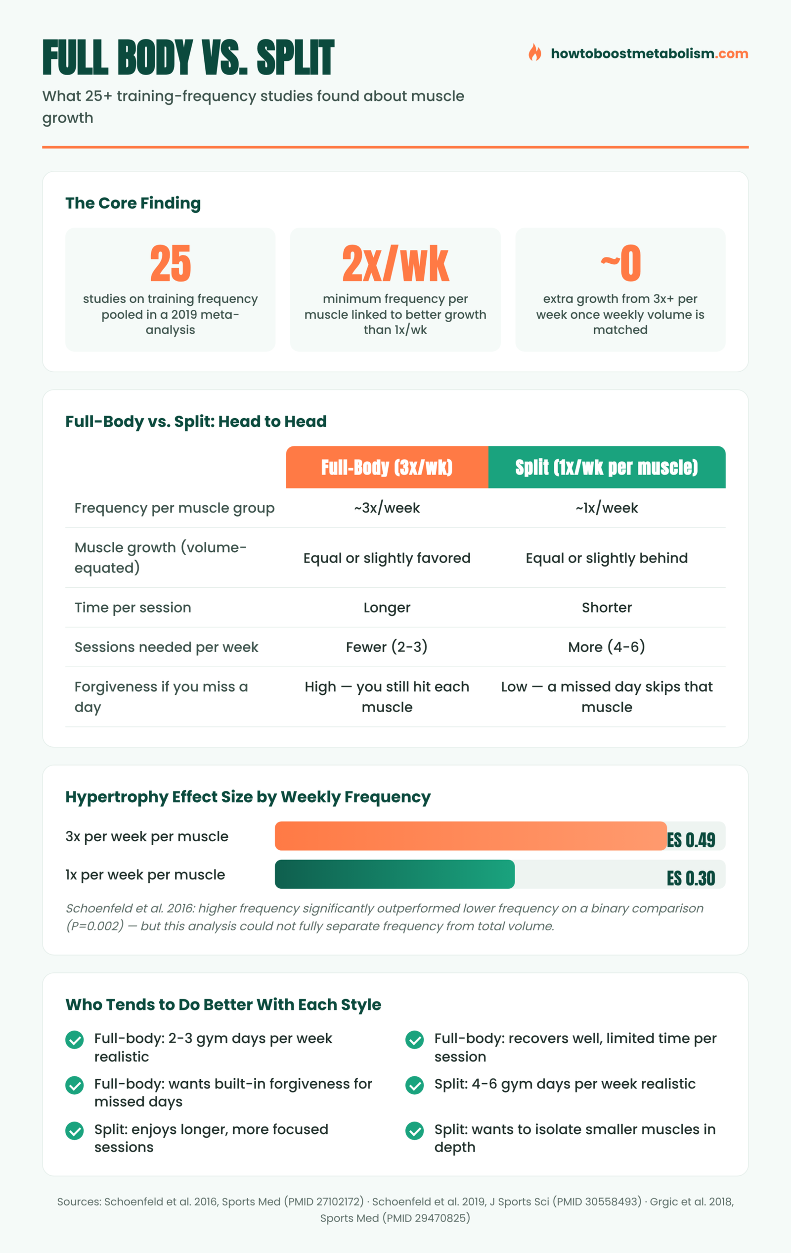 Infographic comparing full body workouts and split routines for muscle growth frequency research after 40