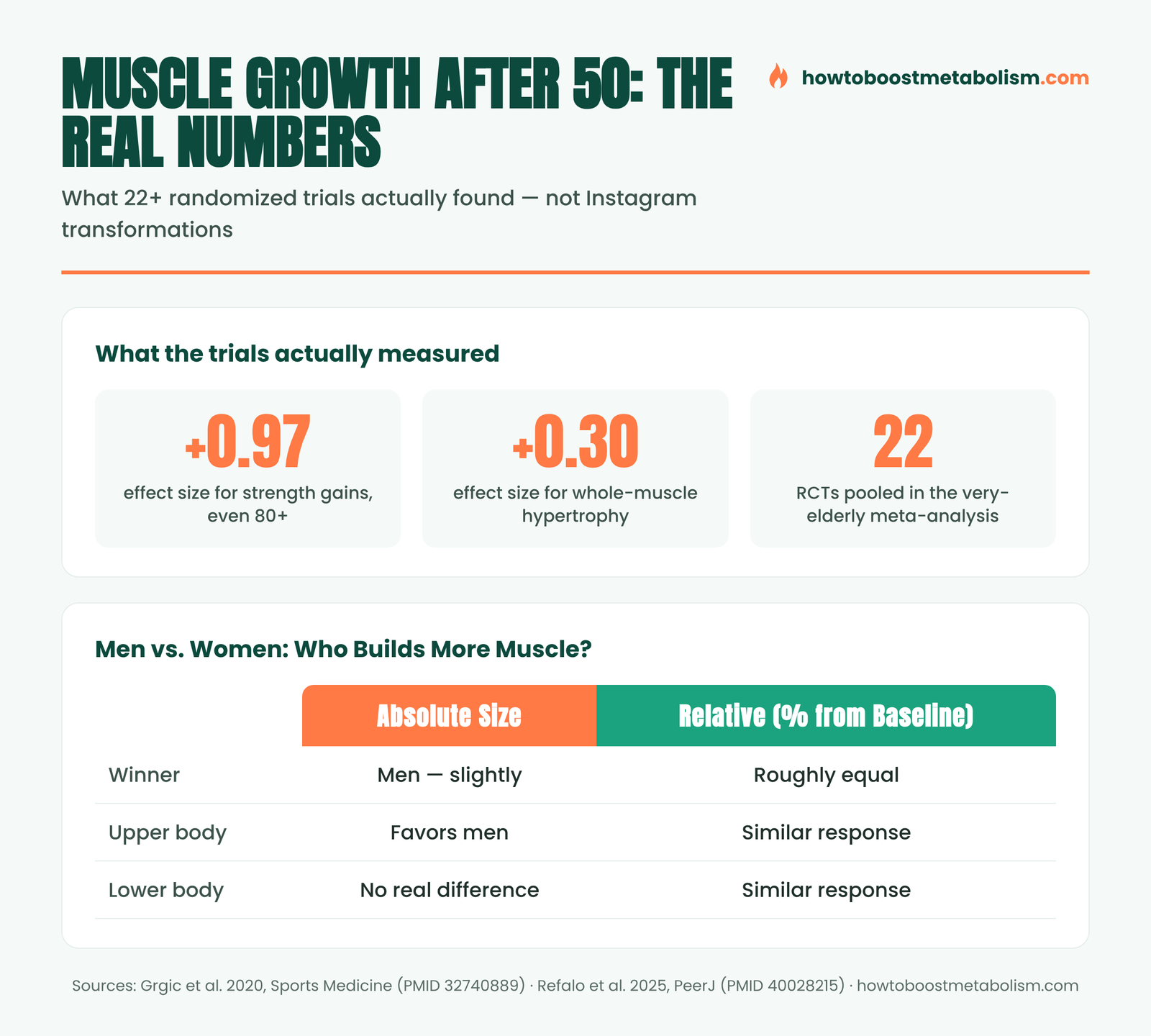 Infographic: realistic muscle growth rates and research numbers for adults over 50