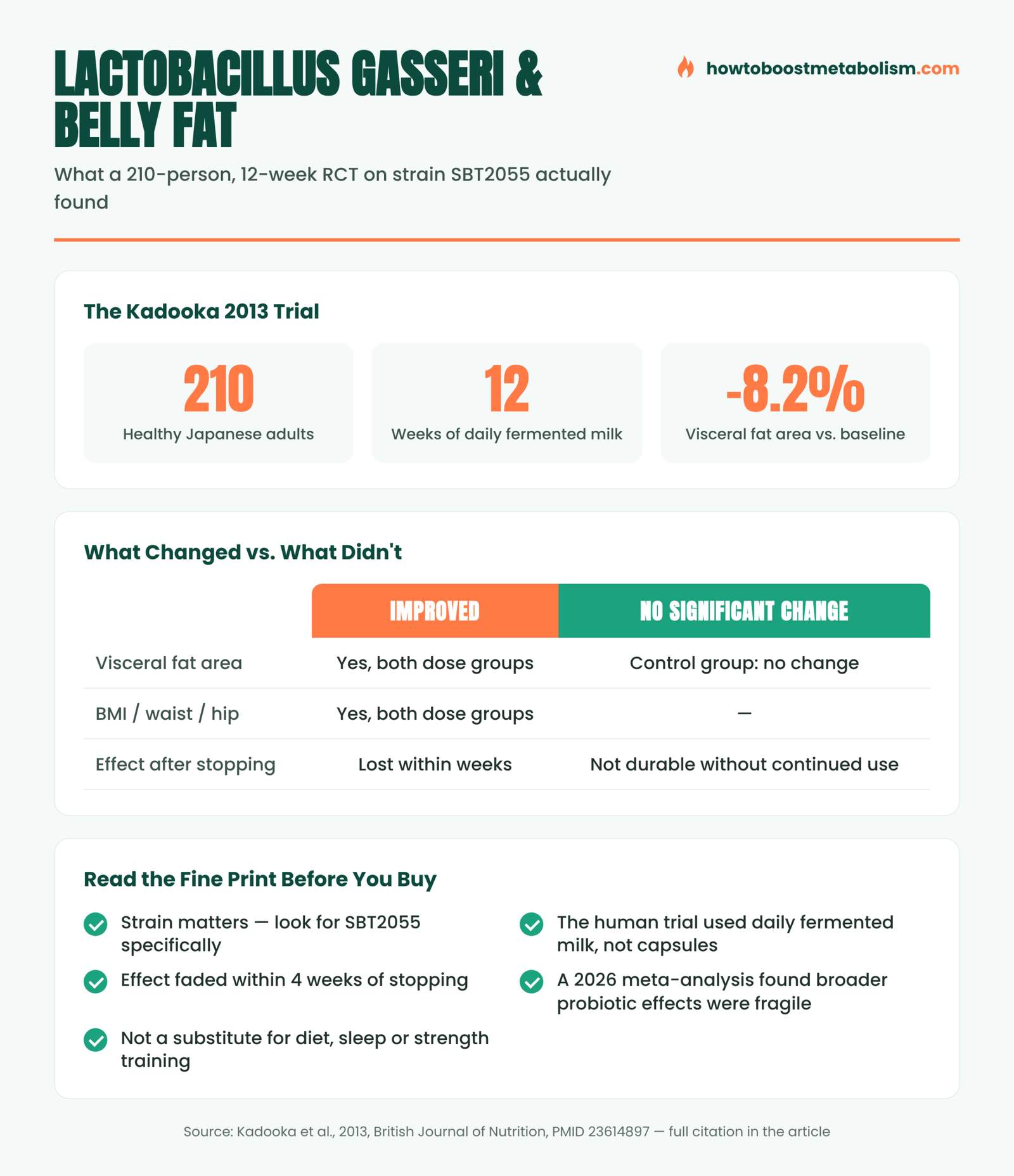 Infographic showing Lactobacillus gasseri visceral fat trial results and caveats