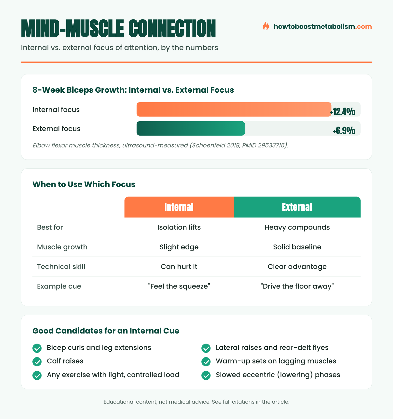 Mind-muscle connection internal vs external focus research infographic