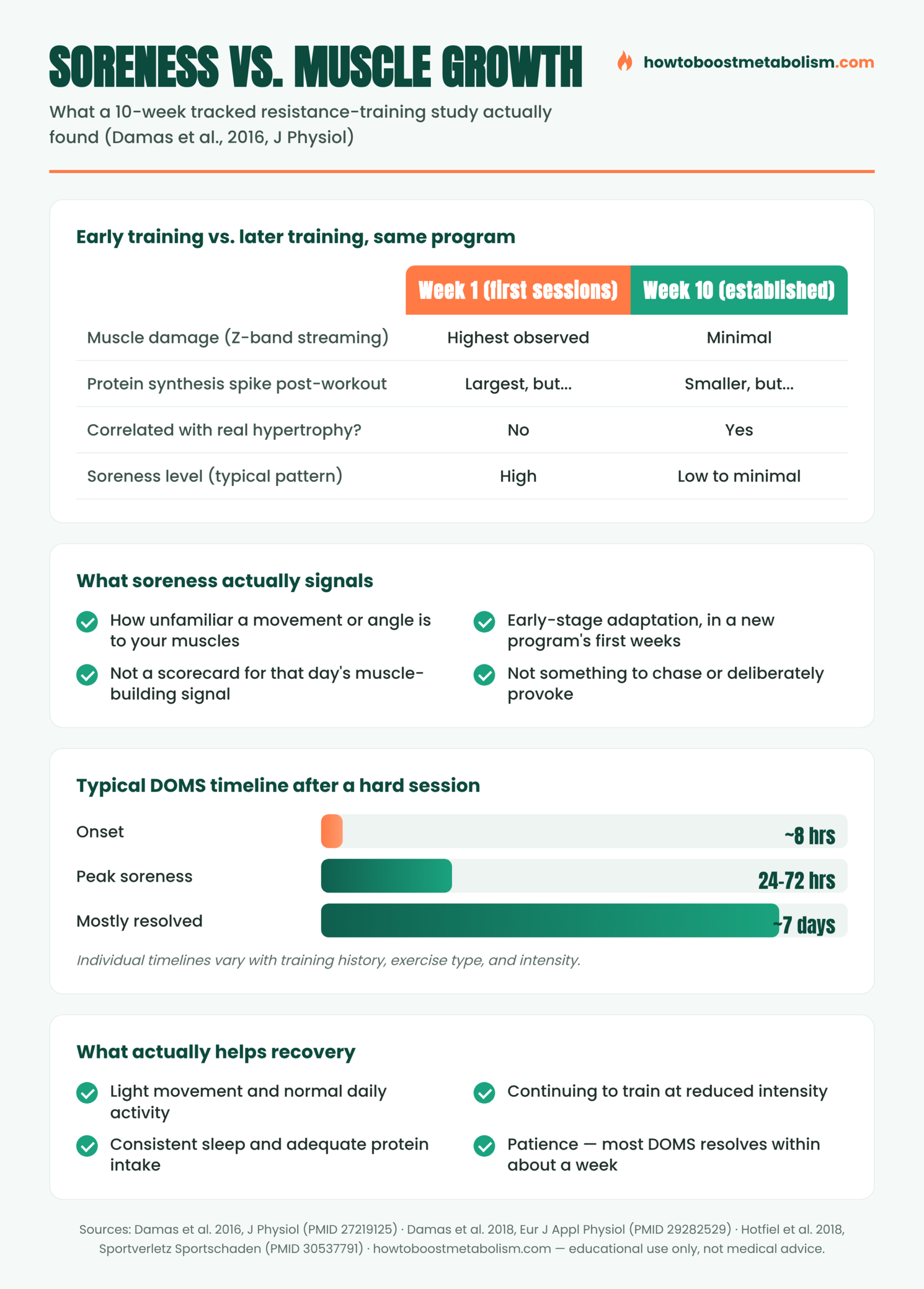 Infographic: muscle soreness versus actual muscle growth across a 10-week training program