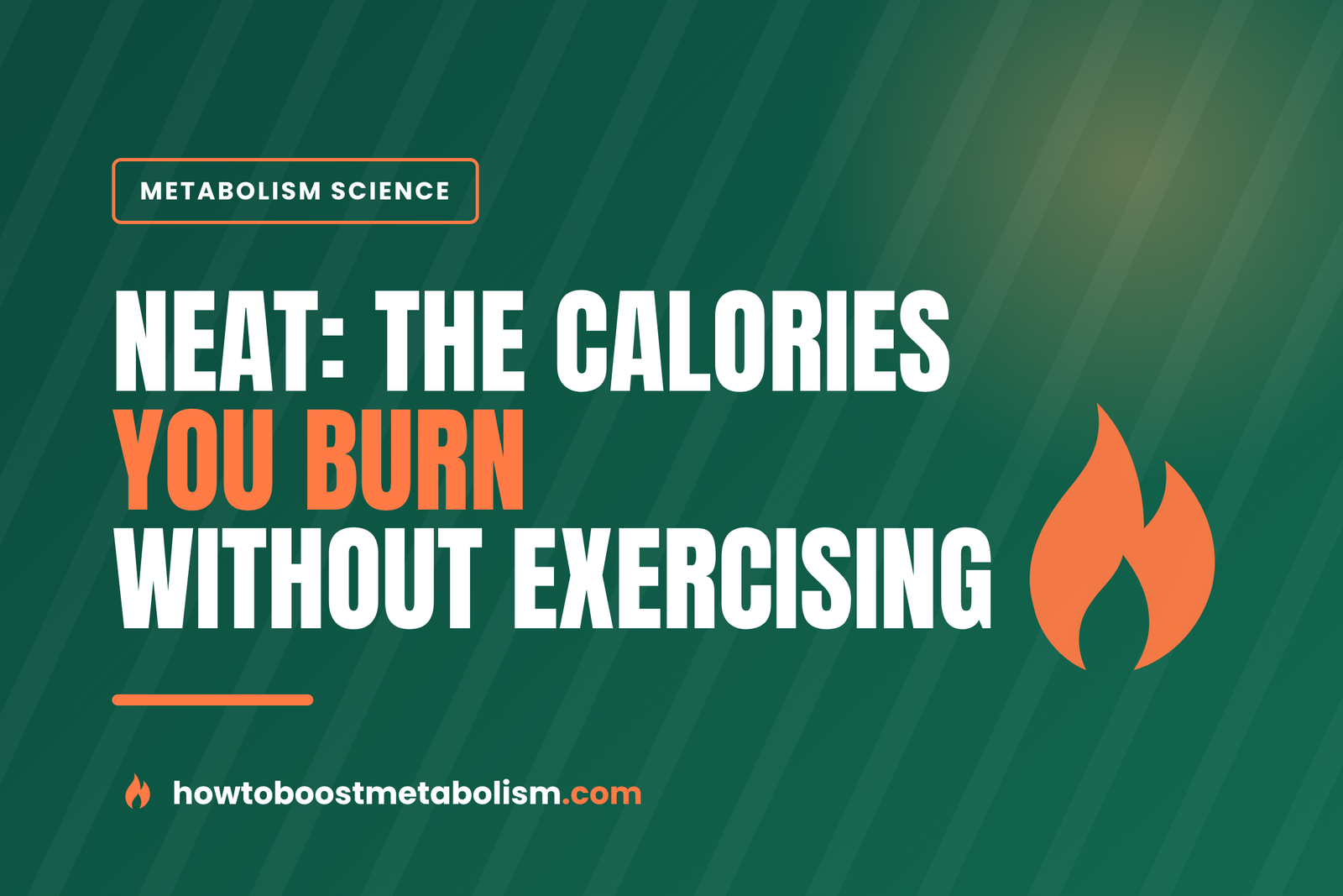 NEAT: How Non-Exercise Movement Boosts Your Metabolism