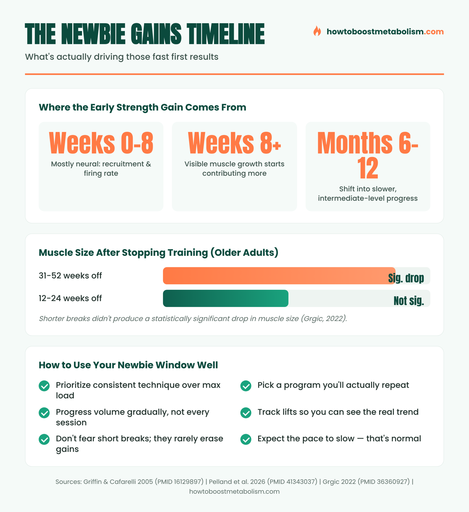 Newbie gains timeline infographic showing neural adaptation and detraining data