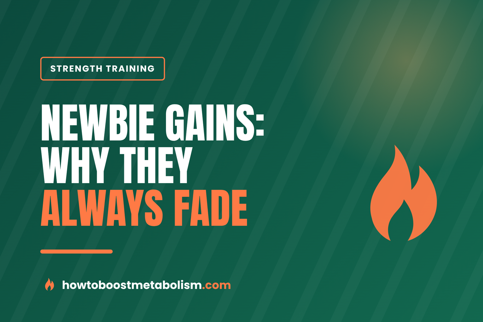 Newbie Gains: Why They Happen and Why They Fade