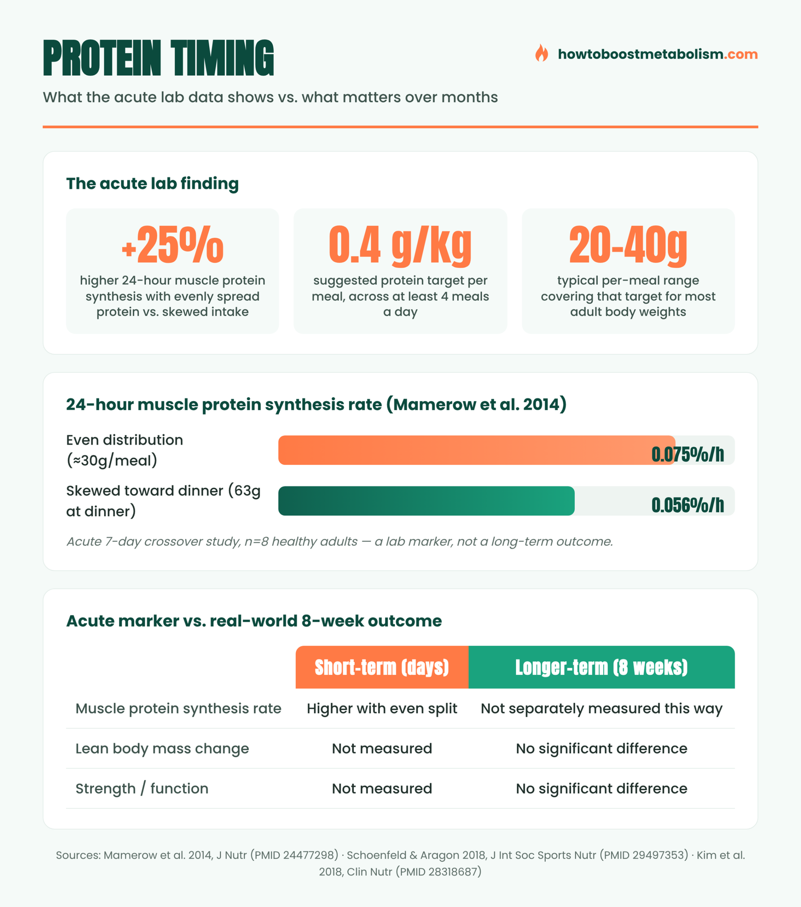 Infographic: protein timing and even distribution across meals for muscle protein synthesis