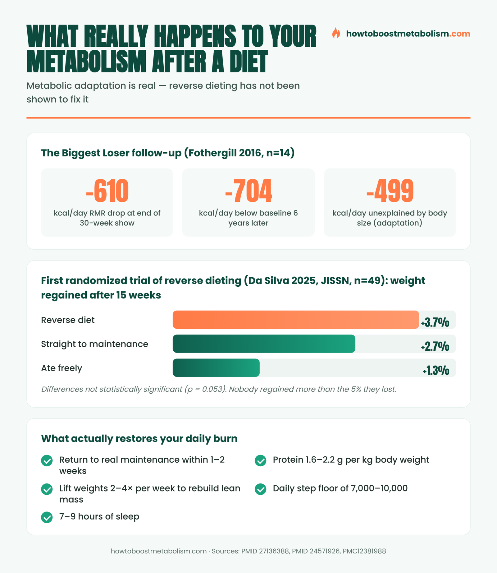 Infographic: what happens to metabolism after a diet, and the 2025 reverse dieting trial results