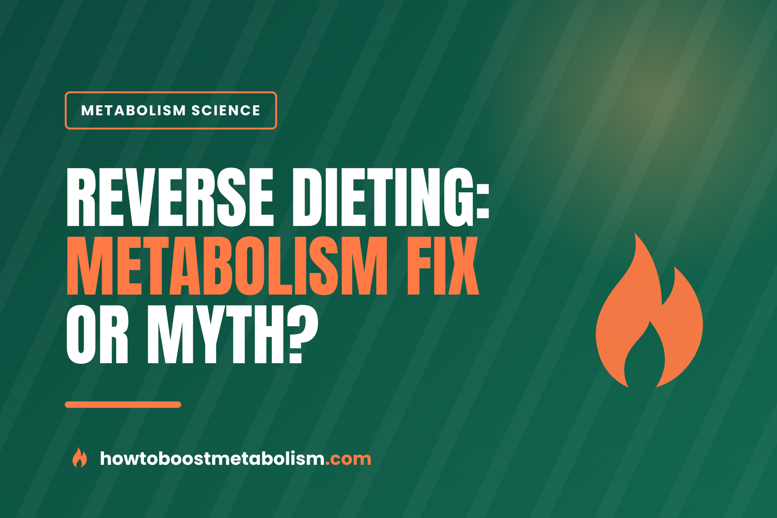 Reverse Dieting: Does It Fix a Slow Metabolism? (2026)