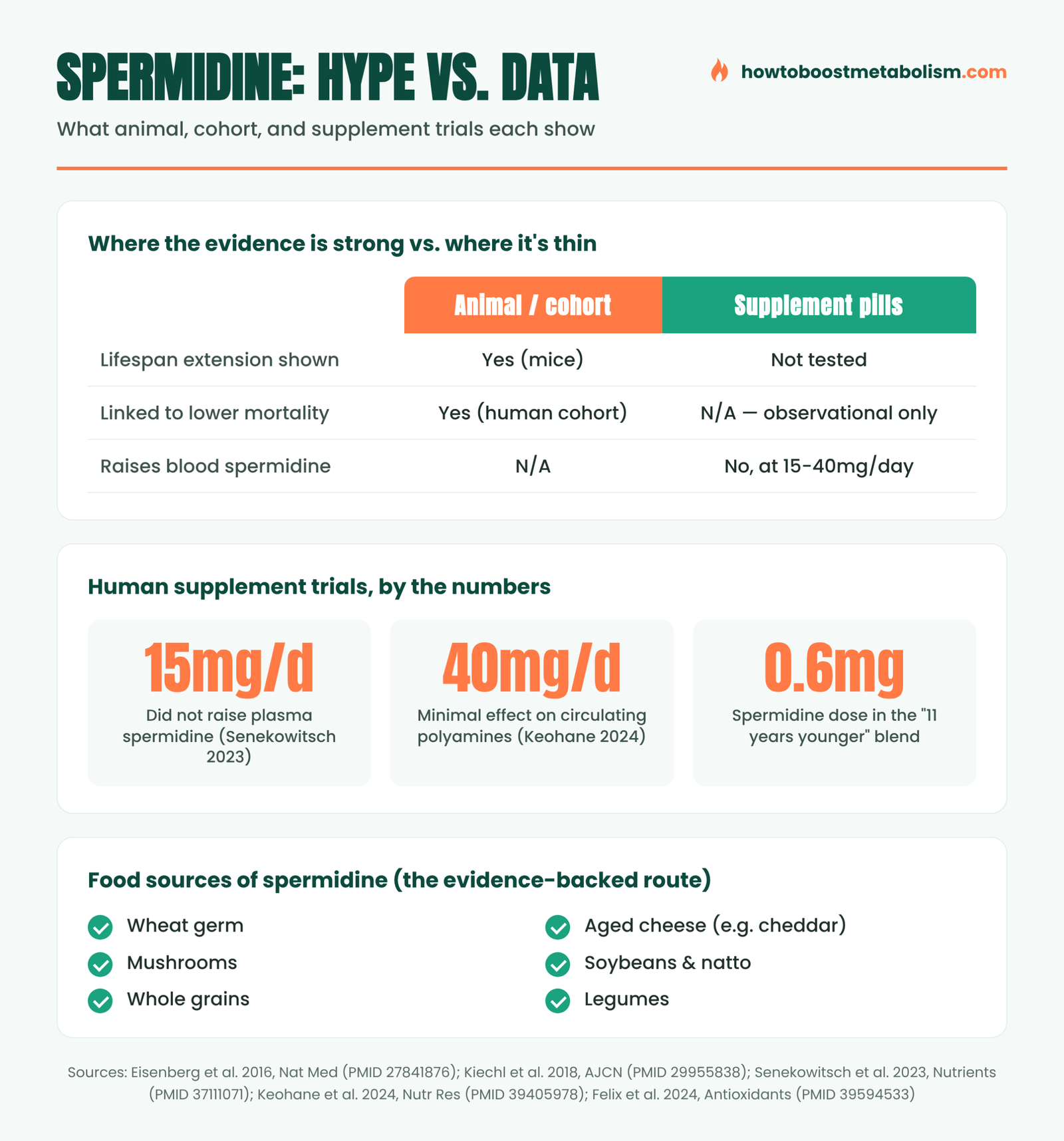 Infographic: spermidine supplement research summary