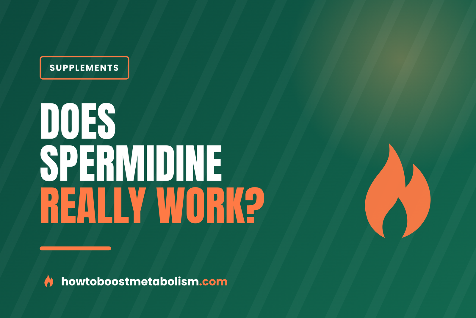 Does Spermidine Really Boost Metabolism? The Human Data