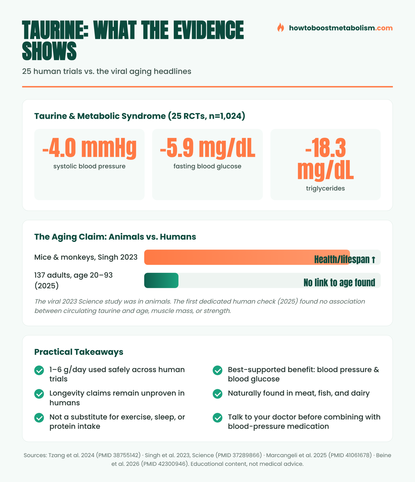 Infographic comparing taurine longevity research in animals versus the 2025 human study