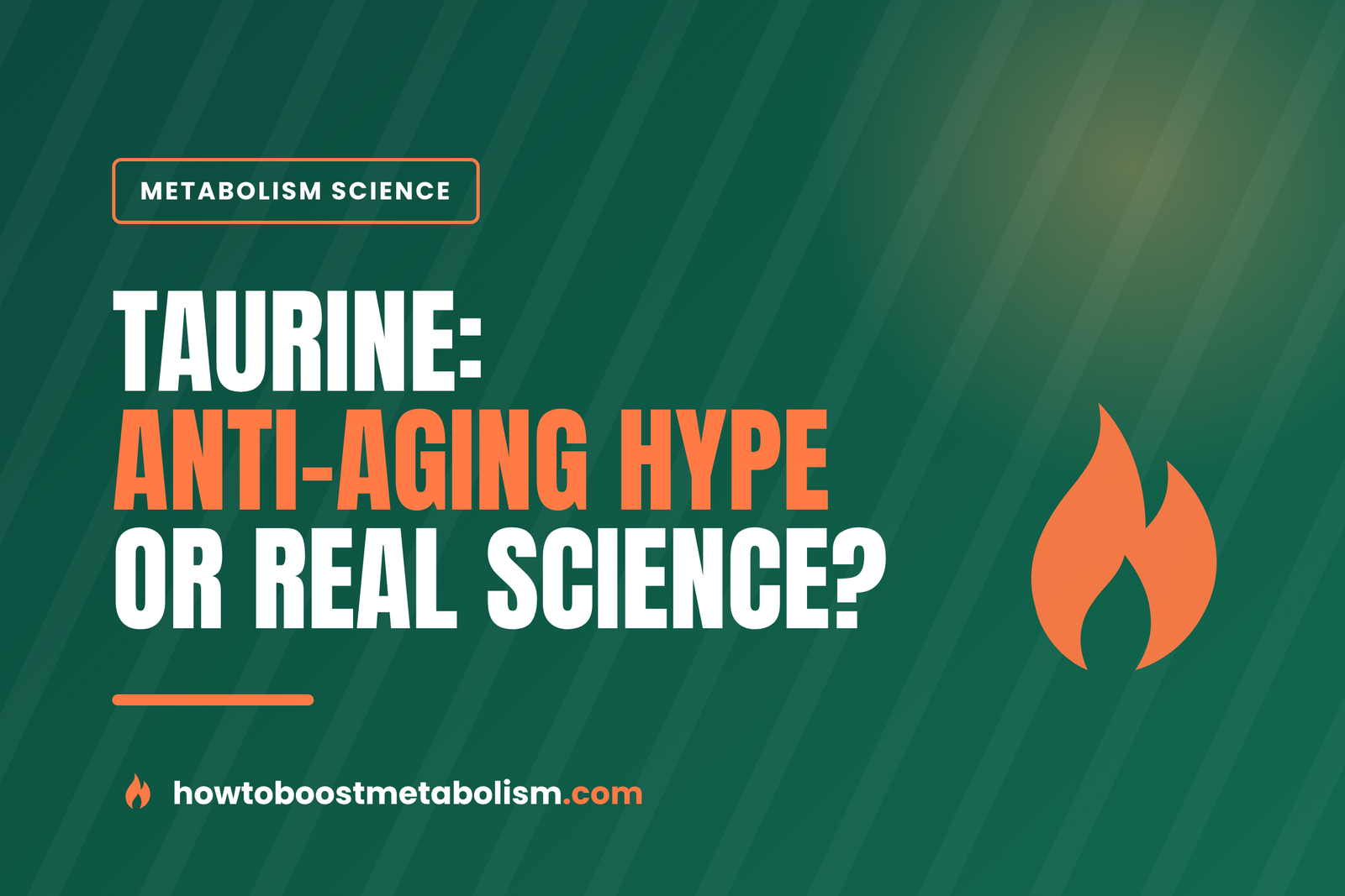 Taurine for Metabolism and Aging: What 2026 Science Shows